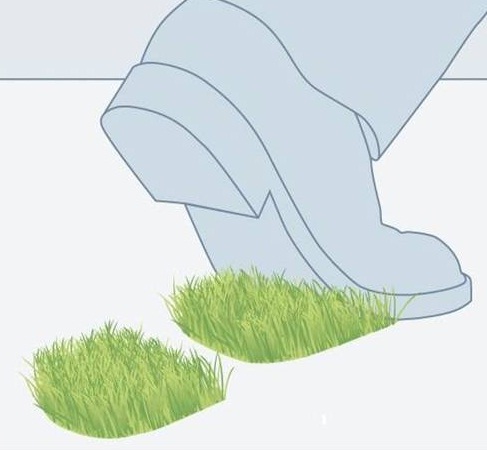 Programa Ecoeficiencia en la Empresa Vasca 2014