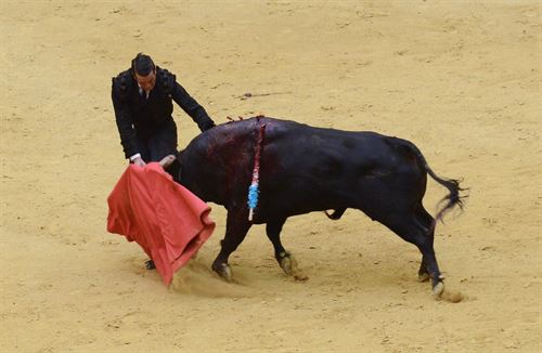 El Parlamento español a favor y en contra de los toros