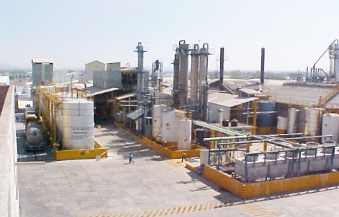 Sostenibilidad Medioambiental y Empresa