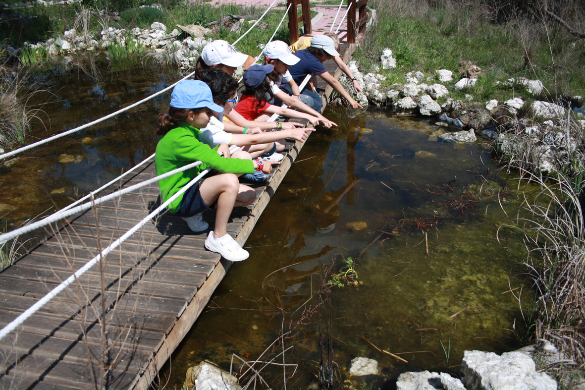 Cómo influyen los niños en la difusión de valores ecológicos