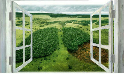 Observatorio de la Salud Respiratoria y el Medio Ambiente