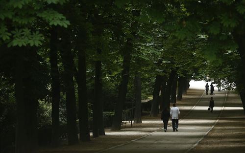 Aconsejan no plantar falsas acacias o chopos en el ‘Retiro’ de Madrid