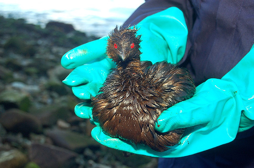 EEUU ordena a BP que reabra el pozo sellado de Macondo