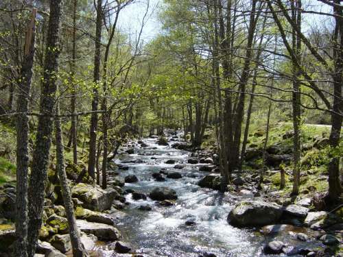 Certificados con la Q de Calidad de Turística ocho espacios naturales de Castilla y León