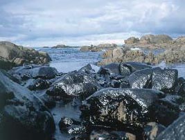 España recurrirá la sentencia para recuperar el dinero invertido en arreglar el desastre