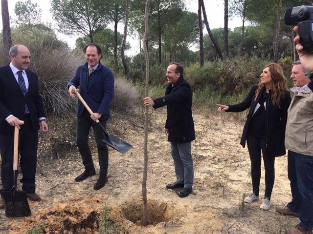 Empieza la restauración de zonas húmedas en Doñana