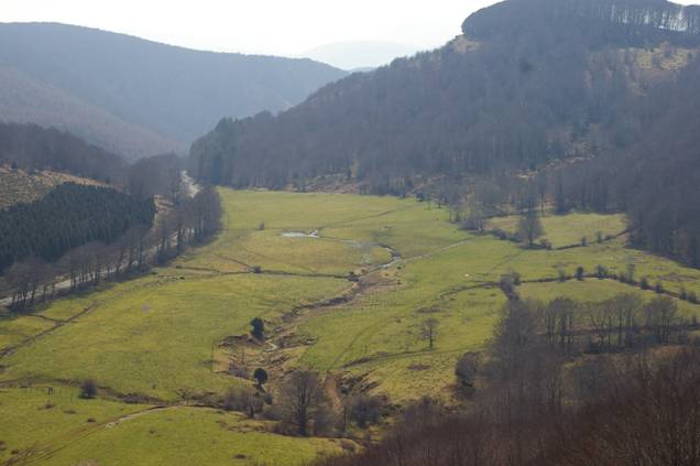 Navarra designa a ‘Belate’ como Zona Especial de Conservación