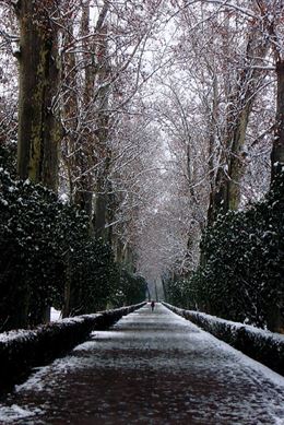 Los Jardines de Aranjuez reabrirán al completo este sábado
