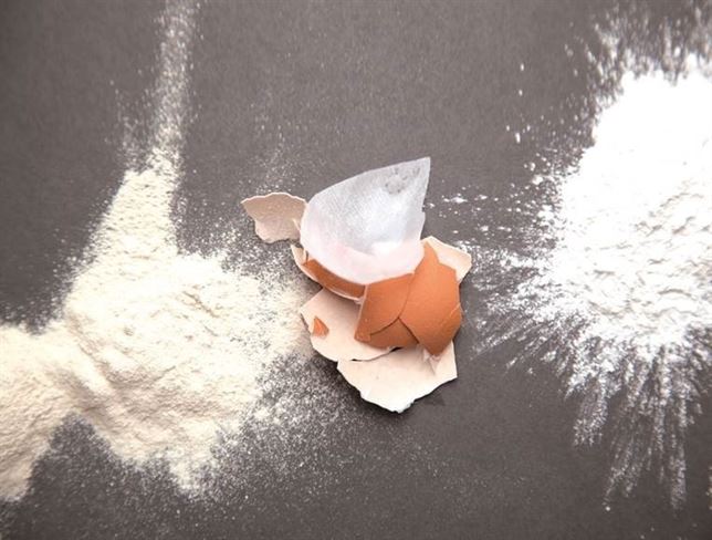 Proyecto para extraer materias primas de las cáscaras de huevo