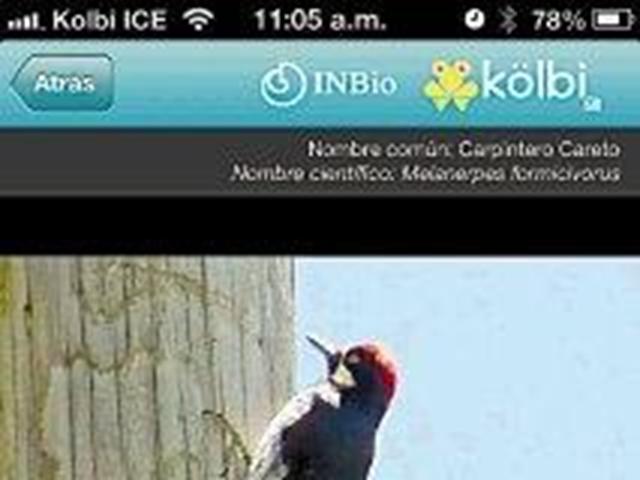 Nueva app mostrará la biodiversidad costarricense