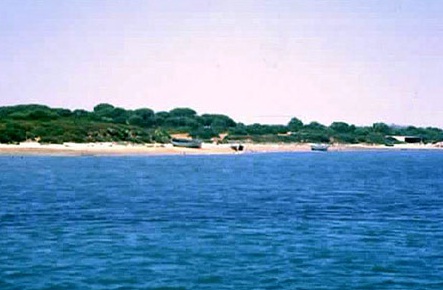 PP dice que la Ley de Costas garantizará el futuro de los restaurantes de playa en Murcia