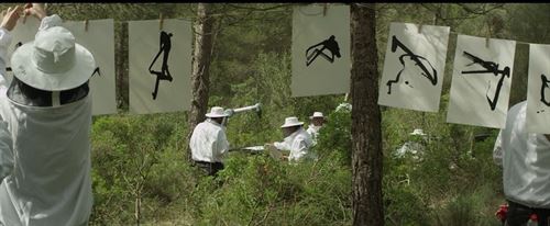 Salvar a la soldado ‘abeja’ de los plaguicidas