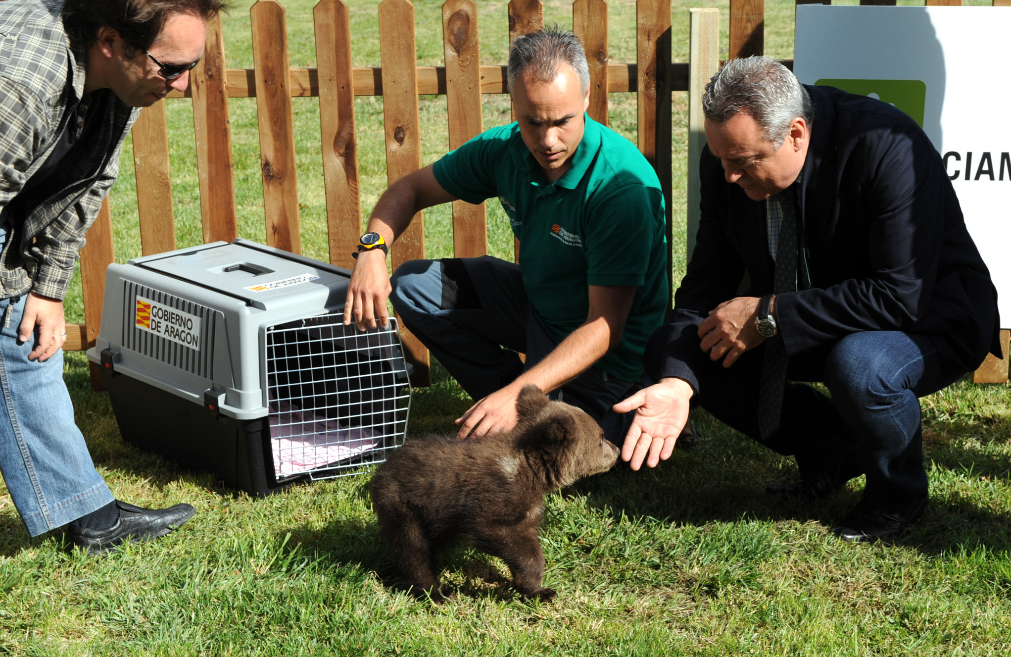 El Centro de Recuperación de Fauna Silvestre de La Alfranca ha recuperado al osezno incautado por el SEPRONA
