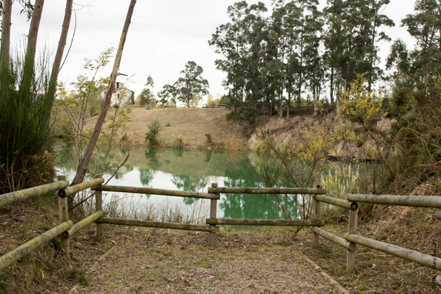 El Pozón de la Yesera vuelve a relucir gracias a Fundación Naturaleza y Hombre (Ver VIDEO)