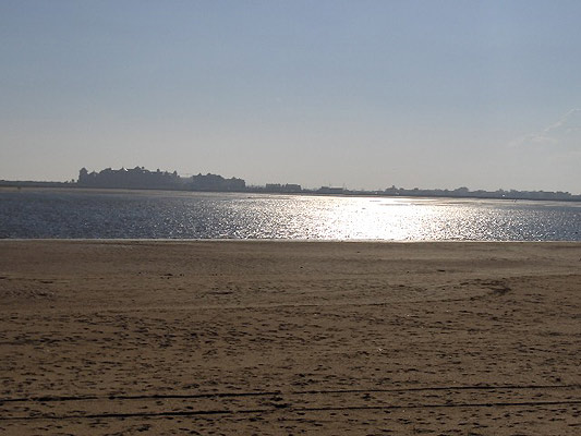 Estudiarán diez playas de Huelva y Cádiz a través de sus invertebrados