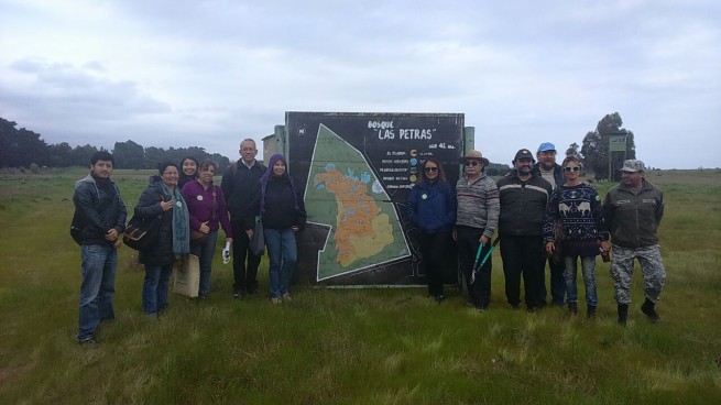 Limpieza del Santuario de la Naturaleza Bosque Las Petras