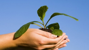 Diplómate en Derecho Ambiental de la mano de ILC