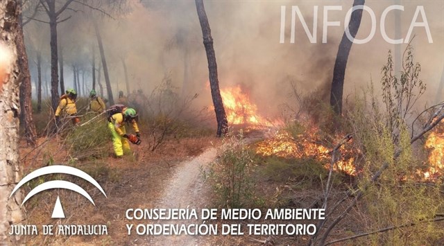 Fiscal señala que existe una sospecha "más que fundada" en que el incendio de Cartaya (Huelva) ha sido intencionado