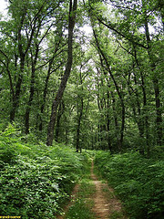 Destinan diez millones de euros a las Comunidades Autónomas con Parques Nacionales en su territorio