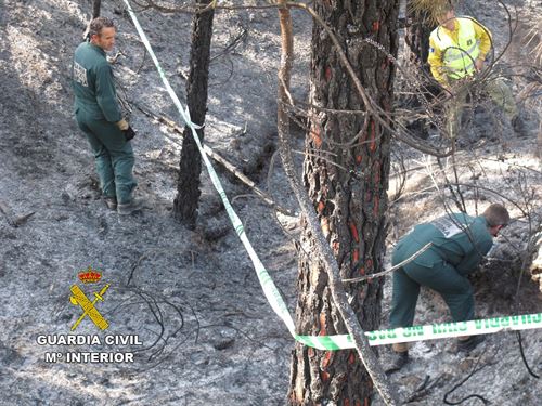 Imputados cuatro individuos por un delito de incendio forestal en una zona protegida de Paterna del Madera (Albacete)