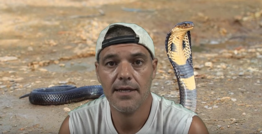 Frank Cuesta: el tráfico ilegal de serpientes a España acabará en una desgracia