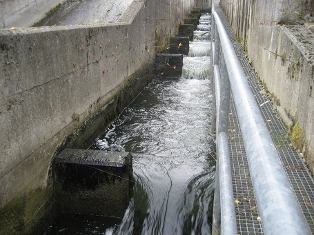 Asturias. La Coordinadora Ecoloxista d’Asturies