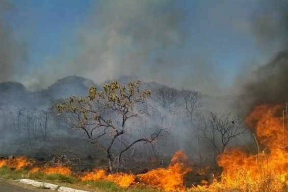 Brasil: Un incendio arrasa el Parque Nacional Chapada dos Veadeiros