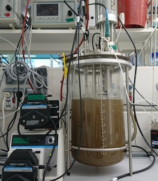 Un microbio útil en el control de emisiones de gases invernadero que come metano y hierro