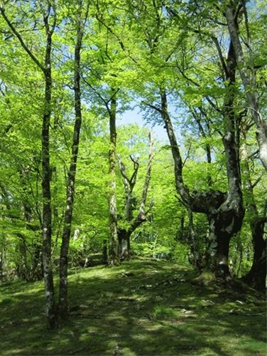 País Vasco. Artikutza abre sus puertas este miércoles para celebrar el día de San Agustín