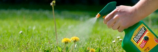 El glifosato otra vez en discusión en la UE
