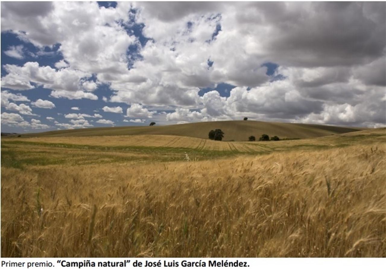 Una foto de la Sierra de Grazalema