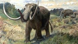 Por qué menguó el transporte mundial de nutrientes