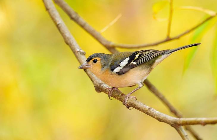 Los científicos españoles siguen superándose