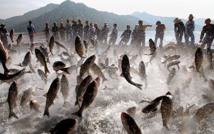 Es hora de enfocarse en las “Olvidadas” Pesquerías