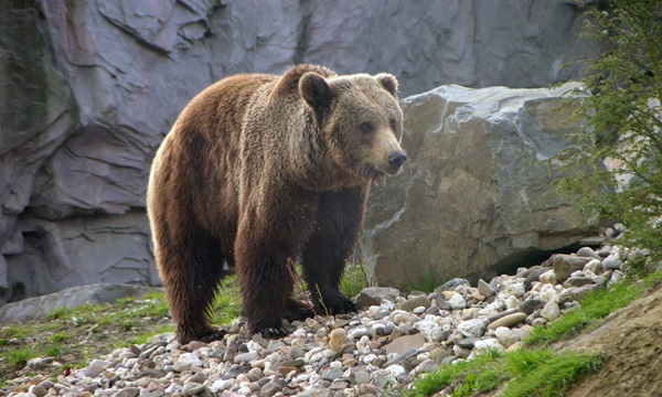 VII Programa LIFE+ sobre medio ambiente
