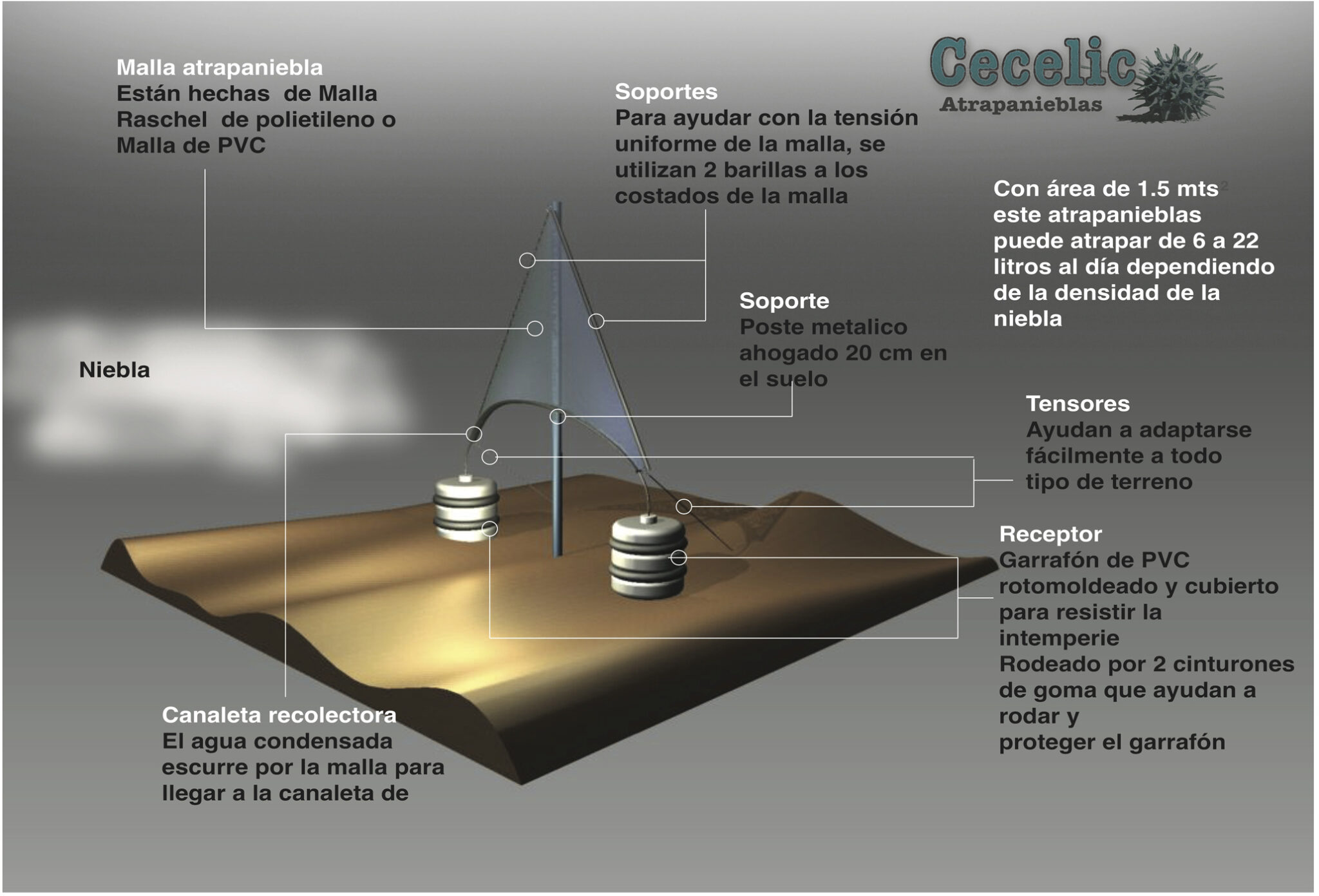 Proponen emplear niebla como alternativa a sequías
