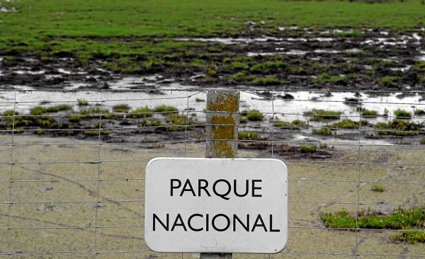 Junta de Andalucía se posicionará ante Consejo de Participación de Doñana contra el proyecto de protección de márgenes del dragado