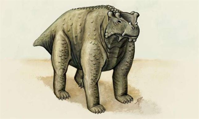 Qué sabes del ‘Bunostegos’