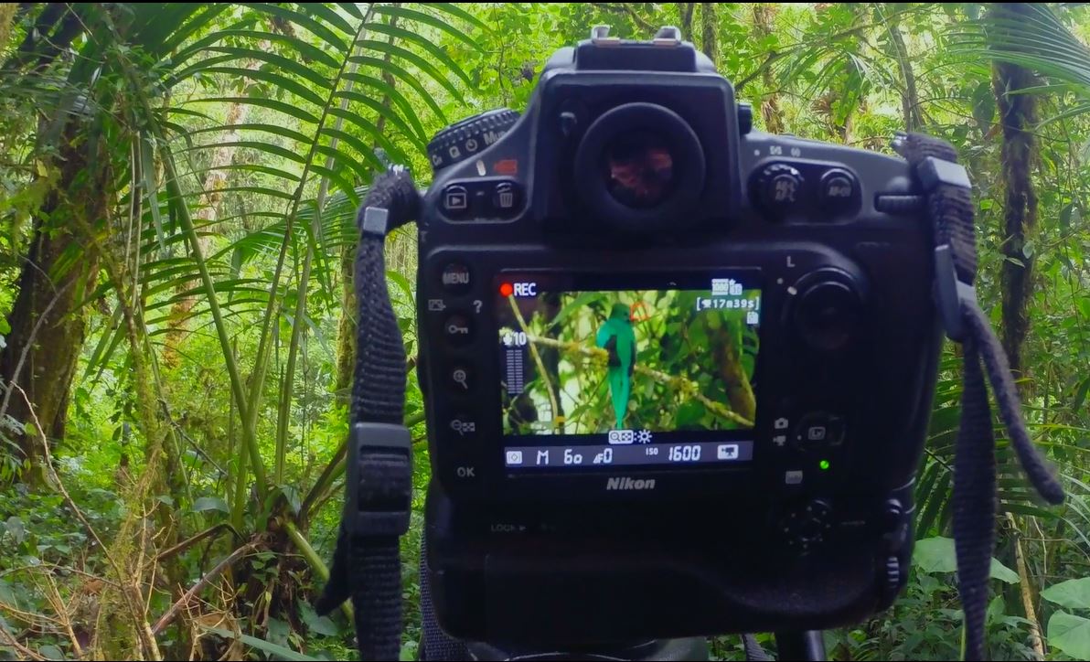 Ecoturismo y la biodiversidad