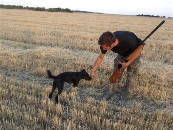 Modificando la Ley de Caza del PP en Castilla – La Mancha