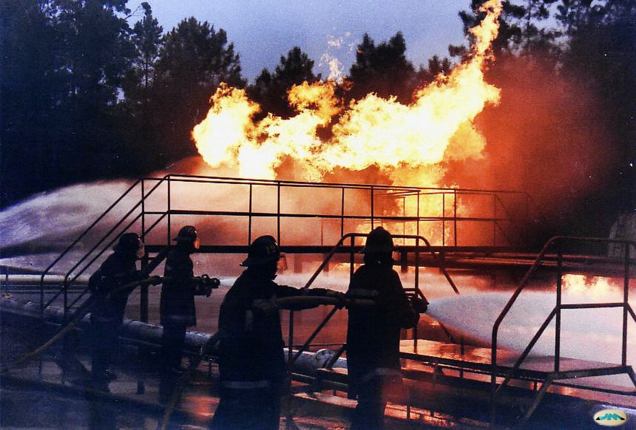 Basta ya de incendios forestales y muerte por doquier