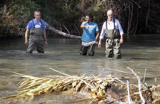 La Generalitat y Fundación Aguas de Valencia inician un proyecto para recuperar la población de nutrias en la Comunitat