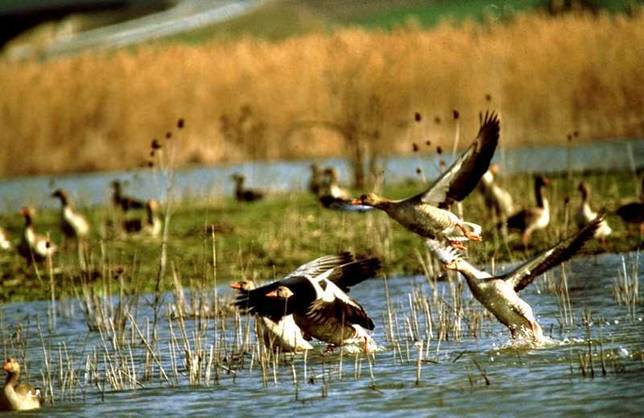 La Fundación Biodiversidad celebra el Día Mundial de los Humedales