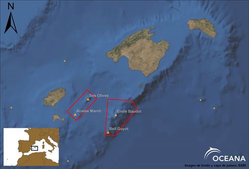 Oceana pide a las naciones unidas que protejan las montañas sumergidas de Baleares