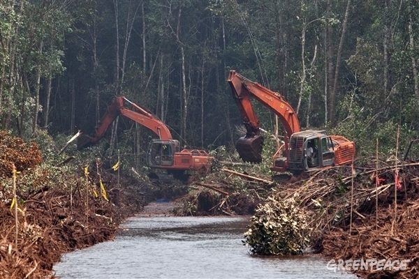 Así es el nuevo compromiso de Asia Pulp &amp; Paper