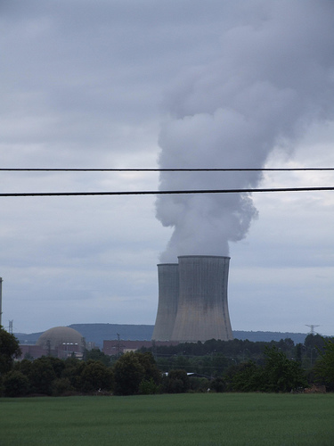 Después de la decisión alemana el SNE confía en que España cambie su política