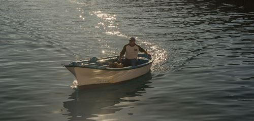 En juego la sostenibilidad de la pesca de las principales especies comerciales en el Atlántico durante 2016