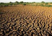 El Cuerno de África se enfrenta a su peor sequía en 60 años