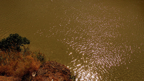 Puxeu avanza que el proyecto de recuperación del río Tajo cuenta con 20 millones de euros para iniciar la primera fase