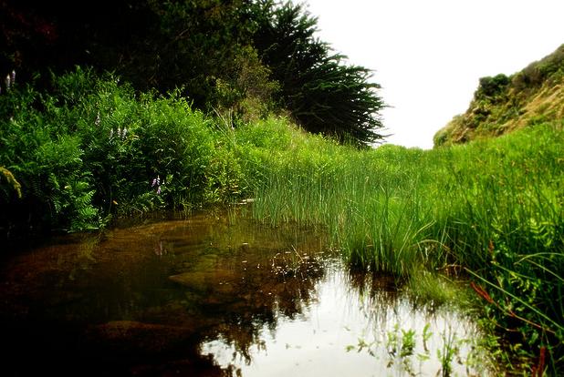 Paraje Natural Marismas del Odiel se consolida como uno de los humedales de referencia en Europa